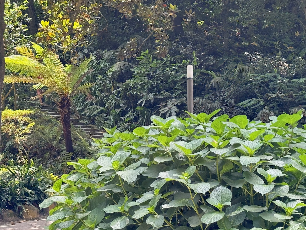 Walkway in Parque de Liberdade