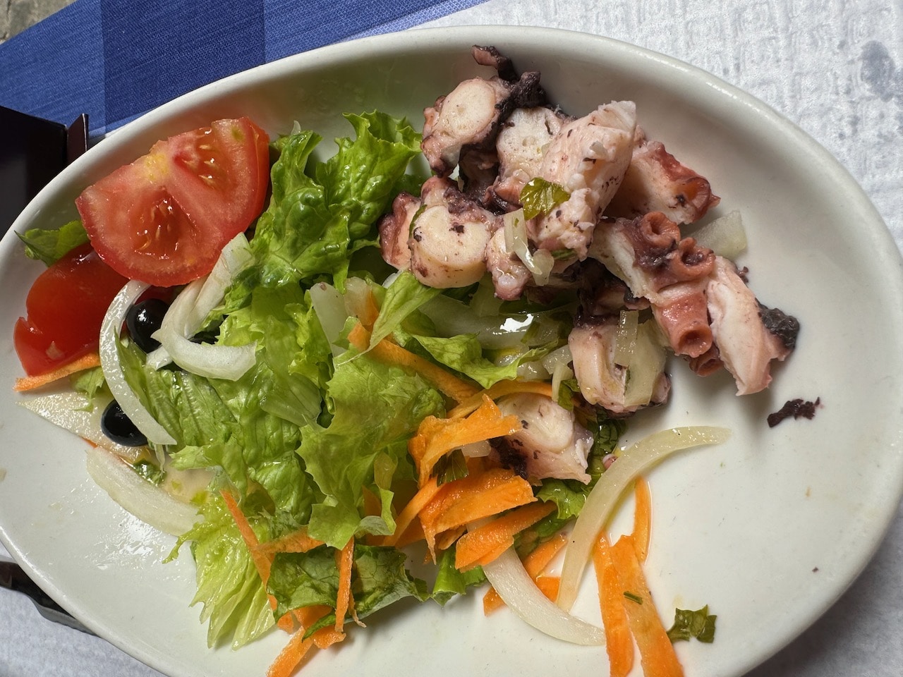 Octopus salad at Casa Lopes. Photo by ConsumerMojo.com