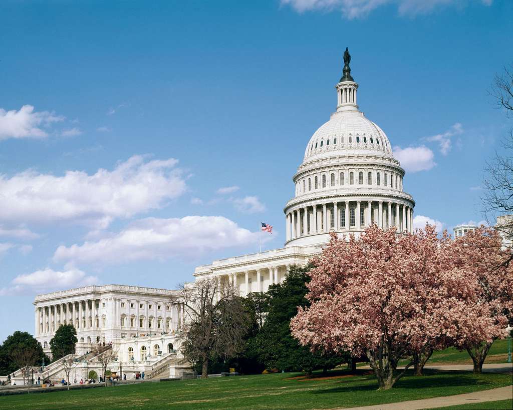 U.S. Capitol building Washington, D.C. Public Domain.